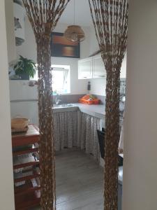 a kitchen with two tall palm trees in a kitchen at Camere a Oriente in Torre dell'Orso