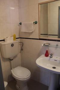 a bathroom with a toilet and a sink at Casa Avô T1 in Avô