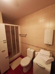 un baño con inodoro y ducha en Apartman šumski vilenjak, en Zlatibor