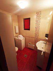 Un baño con un inodoro blanco y un lavabo. en Apartman šumski vilenjak, en Zlatibor 12 fotos más