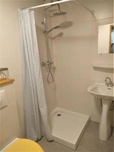 uma casa de banho com uma cortina de chuveiro e um lavatório em Appartement dans ferme rénovée au cœur du Grand Massif em Sixt