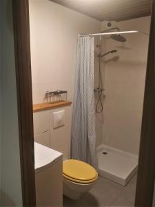 ein Badezimmer mit Toilette und Dusche in der Unterkunft Appartement dans ferme rénovée au cœur du Grand Massif in Sixt