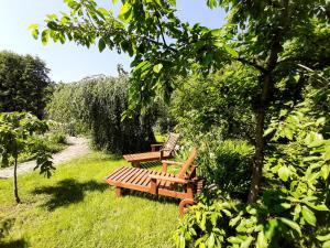 two benches sitting in the grass under a tree at Champêtre Park View Apartments in Riga +163 photos