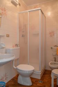 a bathroom with a shower and a toilet and a sink at Garni Ciasa Tamà in Corvara in Badia