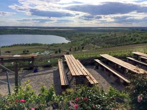a wooden bench sitting on top of a hill next to a lake at Ferienwohnung "Am Geiseltal" in Merseburg +17 photos