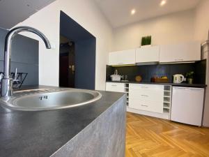 a kitchen with a large sink and a counter at P&J Apartamenty Grodzka in Kraków