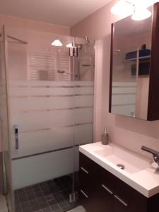 uma casa de banho com um chuveiro, um lavatório e um espelho. em CASA MARCOS em Benasque