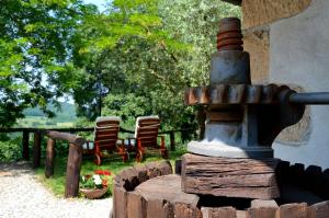 A garden outside Colle Del Barbarossa