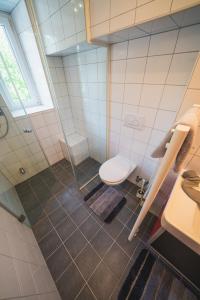 a bathroom with a shower and a toilet in it at Dolomitenmannapartments in Lienz