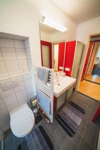 ein Badezimmer mit einem WC, einem Waschbecken und einem Spiegel in der Unterkunft Dolomitenmannapartments in Lienz
