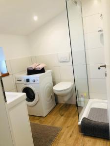 a bathroom with a washing machine and a toilet at Ferienwohnung Eiderblick in Hennstedt