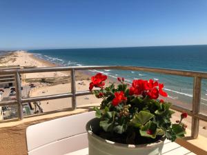 einem Pflanzer mit roten Blumen auf einem Balkon mit Blick auf den Strand in der Unterkunft GATU Villa Bani con terraza y vista frontal al mar in Cádiz