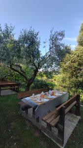 A garden outside Colle Del Barbarossa
