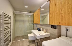 a bathroom with a sink and a shower and a toilet at Apartmány Tadeáš in Stožec