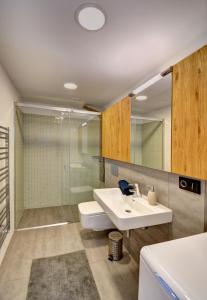 ein Bad mit einem WC, einem Waschbecken und einer Dusche in der Unterkunft Apartmány Tadeáš in Stožec