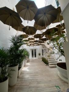 Fotografie z fotogalerie ubytování Il cortile di Elen v destinaci Marsala