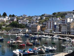 a bunch of boats are docked in a harbor at Hotel Baltico 2 estrellas in Luarca
