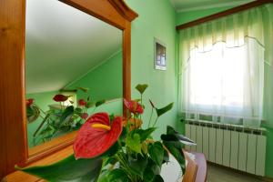 Fotografie z fotogalerie ubytování Bed and breakfast Julia v destinaci Umag