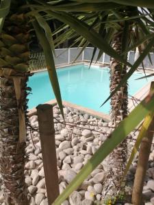 a pool with rocks and a palm tree at Le Moulin du Porteil in Campagne