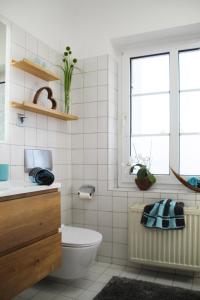 a bathroom with a toilet and a window at Apartment am Hutberg in Kamenz