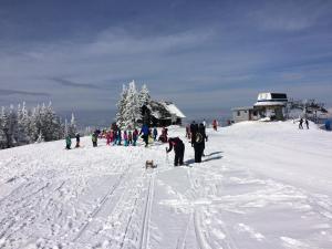een groep mensen die skiën op een besneeuwde helling bij Apartmaji Snežinka Kope in Slovenj Gradec