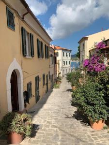 un callejón con edificios, macetas y flores en Agriturismo Galenzana, en Marina di Campo