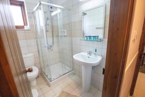bagno con doccia, lavandino e servizi igienici di Iosiphis Stonebuilt House a Pano Lefkara