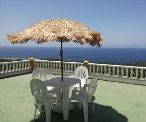 Naturlandskabet i nærheden af feriehuset