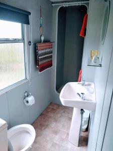 a bathroom with a sink and a toilet at Gina's Static caravan,118 Sandsgate in Hemsby