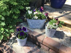 Gallery image of The Stella Rose B&B in Wolfville