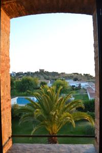 a palm tree is seen through a window at Rincón del Abade in Encinasola