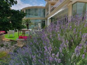 A garden outside HOTEL & APARTAMENTS THALASSA Sport & Spa