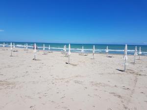 eine Gruppe von Sonnenschirmen am Strand mit dem Meer in der Unterkunft B&B ALUSEA in Silvi Paese