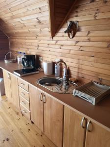 uma cozinha com um lavatório e uma parede de madeira em Roguļi em Cērkste