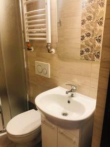ein Badezimmer mit einem weißen Waschbecken und einer Toilette in der Unterkunft Limba in Łeba + 151 Fotos