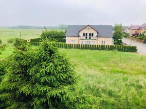 a house sitting on top of a lush green field at Limba in Łeba