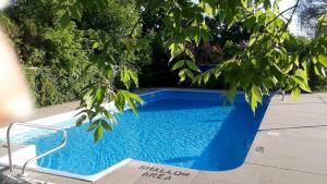 a blue swimming pool with a tree in the foreground at Villa Nova Motel in Wasaga Beach