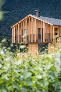 Paesaggio naturale nelle vicinanze dell'appartamento
