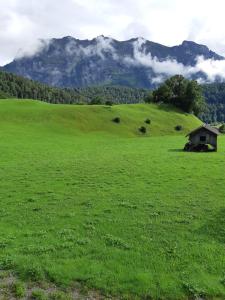 um campo verde com uma casa no meio dele em Haus Annelies em Bizau