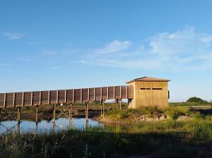 a building in a field next to a body of water at TURISMe RURAL EMPORDA in Torroella de Montgrí