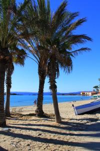 un gruppo di palme su una spiaggia con una barca di Lou Pastourel a Le Lavandou