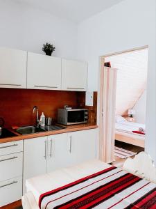eine Küche mit einer Spüle und einer Mikrowelle in der Unterkunft Urocze domki Zakopane in Zakopane