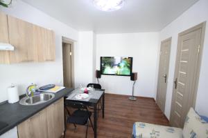 Ozas Apartment 1 and 2 في فيلنيوس: مطبخ مع حوض وطاولة في الغرفة