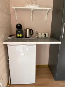 Kuchyň nebo kuchyňský kout v ubytování Green Gile Villa in Druskininkai Center