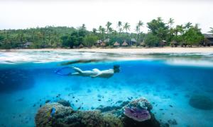 eine Person, die im Wasser in der Nähe eines Strandes schwimmt in der Unterkunft Paradise Cove Resort in Naukacuvu Island