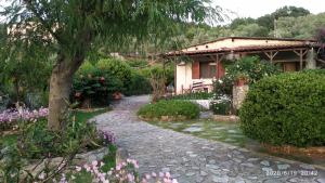 a garden with a house and a stone path at Skiathos Riviera Studios in Punta