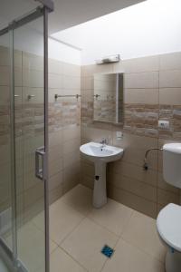 a bathroom with a sink and a shower and a toilet at Vila Poienița Căciulata in Călimăneşti