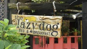 Certificato, attestato, insegna o altro documento esposto da Lazy Dog Bed & Breakfast