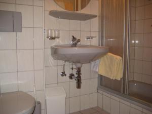 a bathroom with a sink and a shower and a toilet at Machls Ferienwohnungen in Jerzens +24 photos
