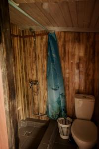 スヴィチャスにあるSadyba u Gansaのバスルーム(シャワー、トイレ付)
